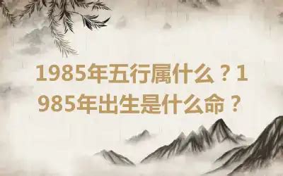 1985年什么命|1985年出生是什么命运？什么五行？